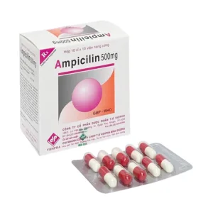 Ampicilin 500mg Vidipha Điều trị nhiễm khuẩn (100 viên)