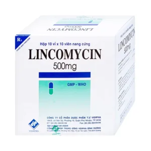 Lincomycin 500mg Vidipha Điều trị nhiễm khuẩn (100 viên)
